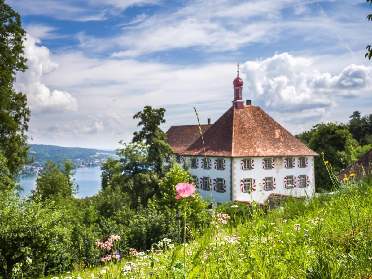 Schloss Freudenfels 4* Eschenz