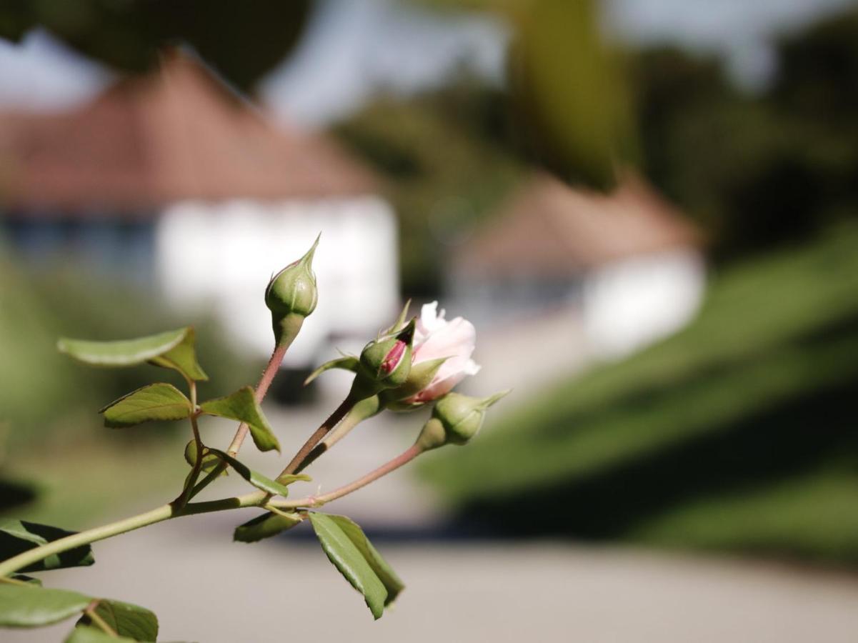 Schloss Freudenfels 4* Eschenz